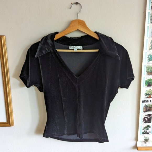 Rampage Tops - Vintage Rampage velvet cropped collared shirt